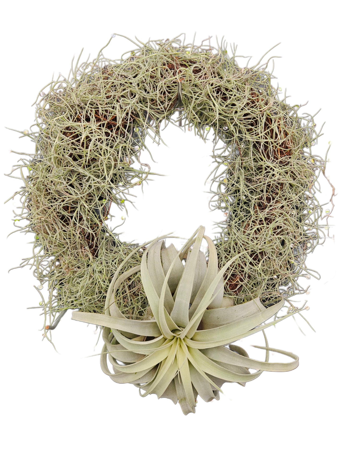 Christmas Wreath- Xerographica