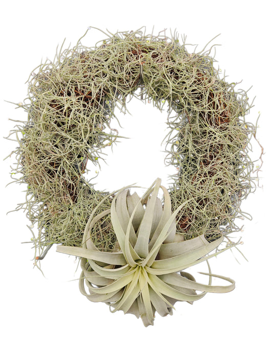 Christmas Wreath- Xerographica