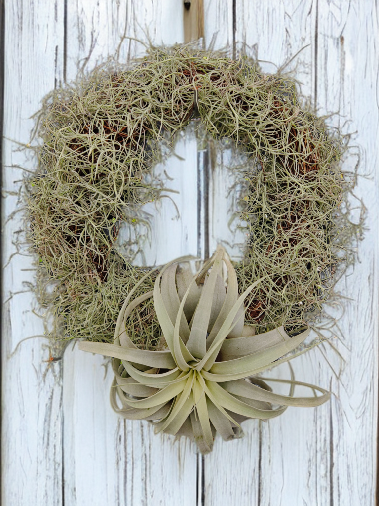 Christmas Wreath- Xerographica